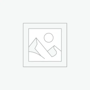 Uncategorized